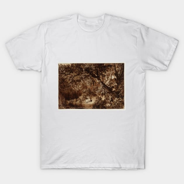 Aesacus and Hesperie, 1816 T-Shirt by Art_Attack